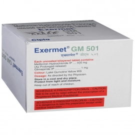 EXERMET-GM 501